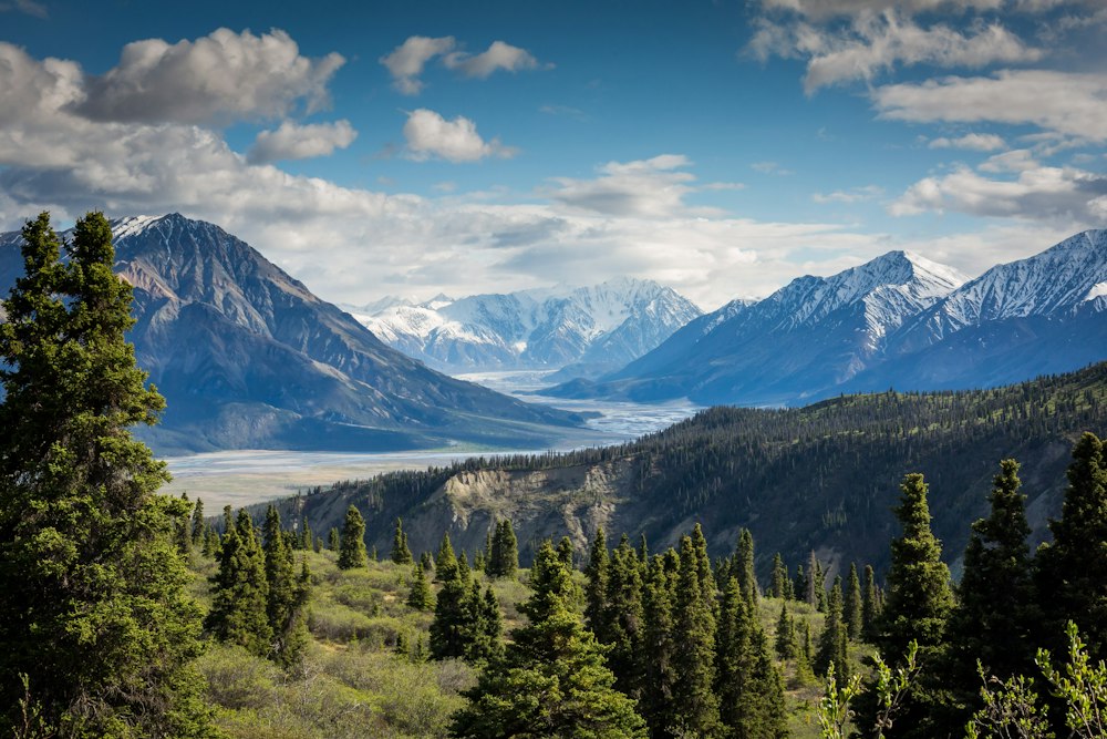 Outdoor landscape for an off-grid trip